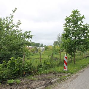 Way to Almere Jungle