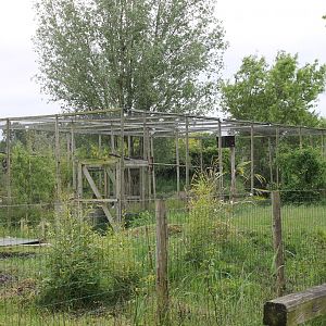 Barn owl aviary