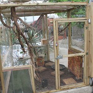 Stick-insect enclosure