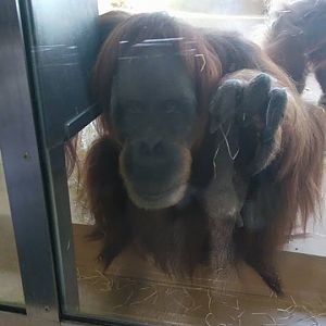 12231449_10153312084813507_690060126_n