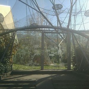 Ape Enclosure Outdoor