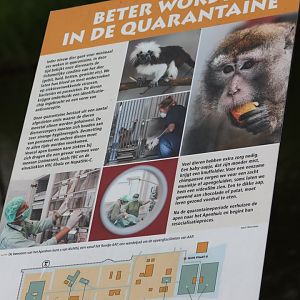 Info and Plan Quarantaine-building