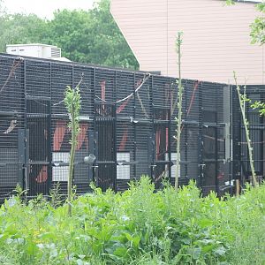 Outdoor cages Quarantaine-building