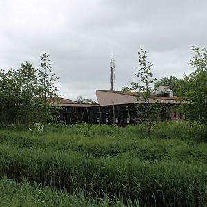 Quarantaine-monkey Building