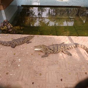 Lahore Zoo (Pakistan)