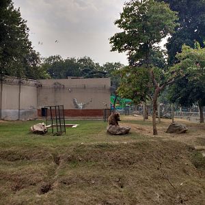 Lahore Zoo (Pakistan)