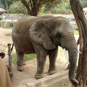 Lahore Zoo (Pakistan)