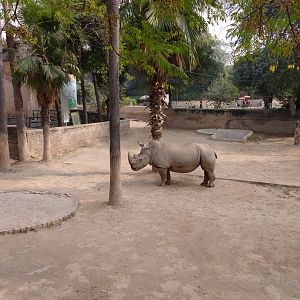 Lahore Zoo (Pakistan)