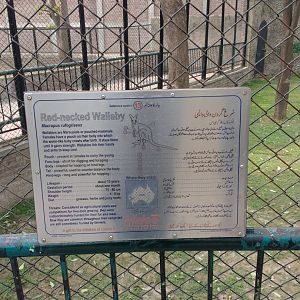 Lahore Zoo (Pakistan)