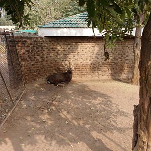 Lahore Zoo (Pakistan)
