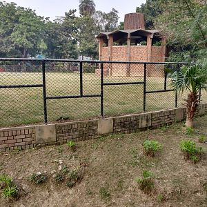 Lahore Zoo (Pakistan)