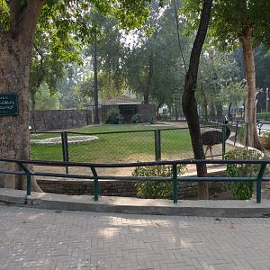 Lahore Zoo (Pakistan)