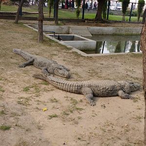 Lahore Zoo (Pakistan)