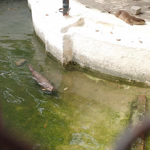 Lahore Zoo (Pakistan)
