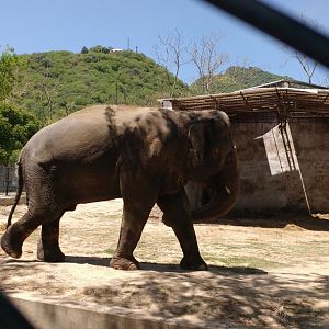Islamabad Zoo (Pakistan)