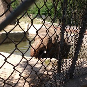 Islamabad Zoo (Pakistan)
