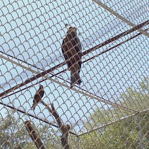 Islamabad Zoo (Pakistan)