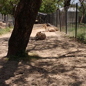 Islamabad Zoo (Pakistan)