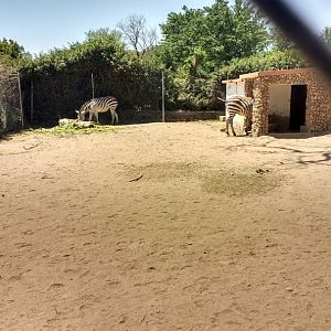 Islamabad Zoo (Pakistan)
