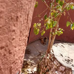 Islamabad Zoo (Pakistan)