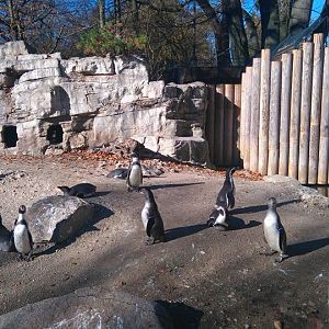 12231333_10153312084733507_792756468_n