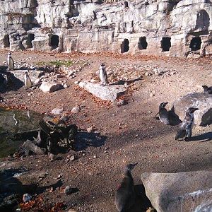 12232977_10153312083993507_1808971940_n