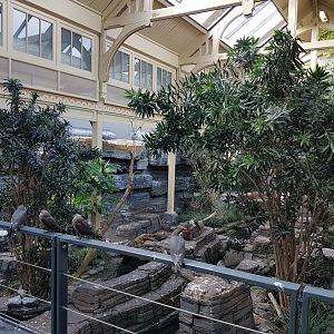 20161022_142503 Birdhouse  -Coast