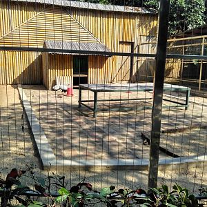 Pheasant exhibit
