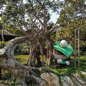Golden snub-nosed monkey exhibit