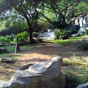 Panda outdoor exhibit