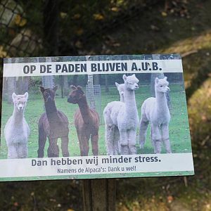 Keep on the path-ways