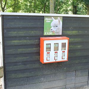 Alpaca-food selling-place