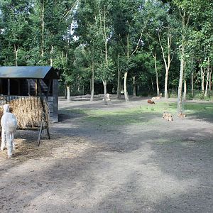 Walk-through Enclosure