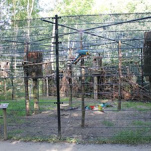 Macaw-aviary
