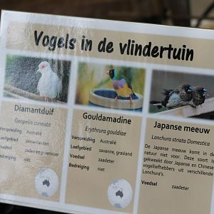 Sign of birds in the Butterfly-garden