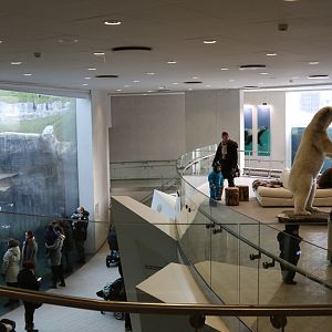 Arctic Ring interior at Zoo København 15/01/2017