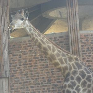 Lahore Zoo (Pakistan)