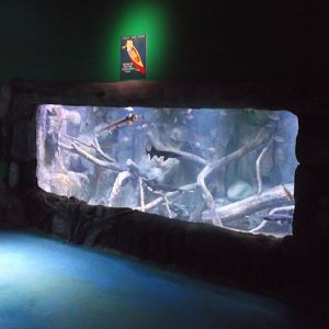 Via Aquarium