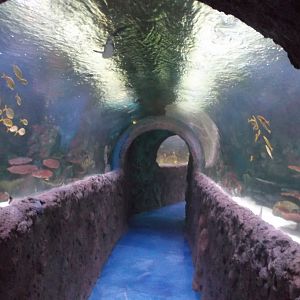Via Aquarium