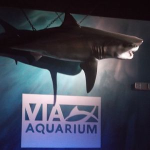 Via Aquarium