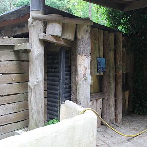 Beaver-indoor Enclosure