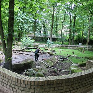 Cleaning Beaver-outdoor-enclosure
