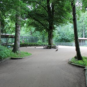 View into the Park
