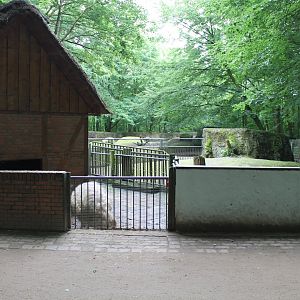 Woolly pig-enclosure
