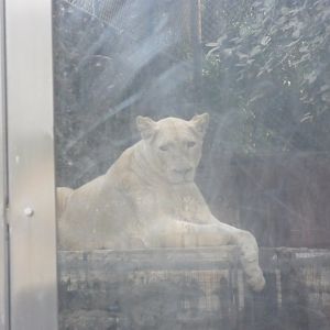 Karachi Zoo (Pakistan)