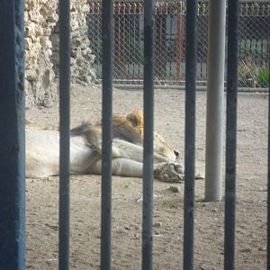 Karachi Zoo (Pakistan)