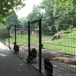 Goat-enclosure