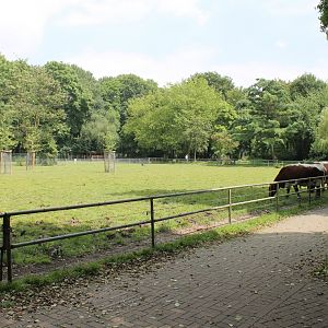 Domestic hoofstock-enclosure