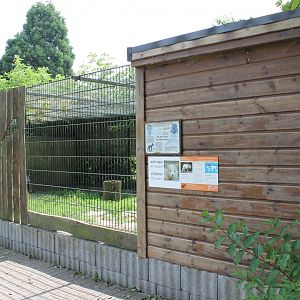 Enclosure Arctic fox