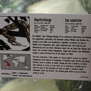 Sign Boa constrictor